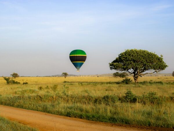 Kenya Safari Escape